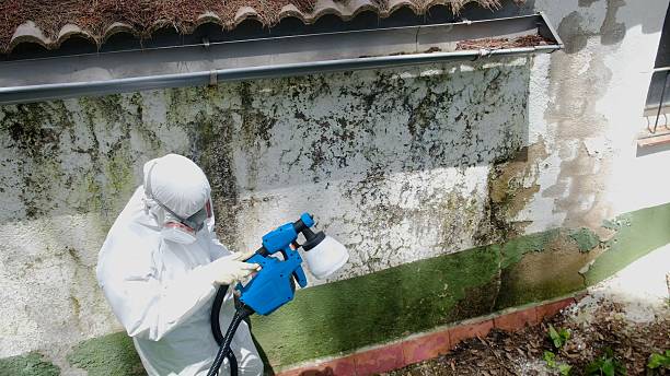 Trusted Commercial Mold Remediation service in Seaside Heights, NJ - Cheap Mold Removal